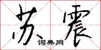 苏震怎么写好看