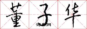 董子华怎么写好看