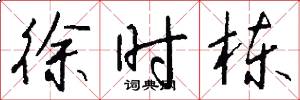 徐时栋怎么写好看