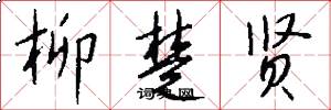 柳楚贤怎么写好看