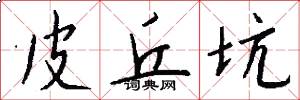 皮丘坑怎么写好看