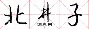 北井子怎么写好看