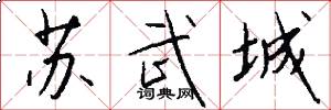 苏武城怎么写好看