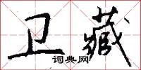 卫藏怎么写好看