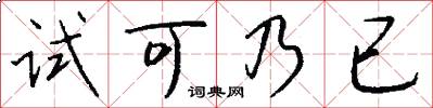 试可乃已怎么写好看