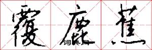 覆鹿蕉怎么写好看