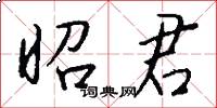 昭君怎么写好看