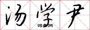 汤学尹怎么写好看