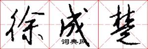 徐成楚怎么写好看