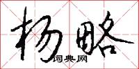 杨略怎么写好看
