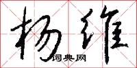 杨维怎么写好看
