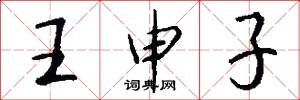 王申子怎么写好看