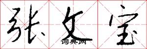 张文宝怎么写好看