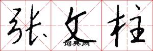 张文柱怎么写好看