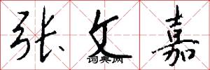 张文嘉怎么写好看