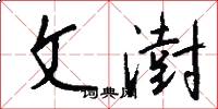 文澍怎么写好看