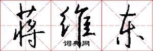 蒋维东怎么写好看