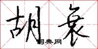 胡衰怎么写好看
