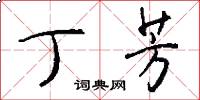 丁芳怎么写好看