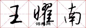 王曜南怎么写好看