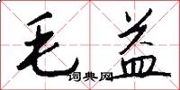 毛益怎么写好看