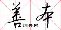 善本怎么写好看