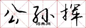 公孙挥怎么写好看