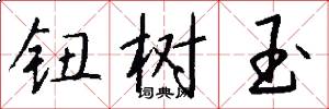 钮树玉怎么写好看