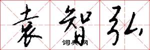 袁智弘怎么写好看
