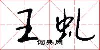 王虬怎么写好看