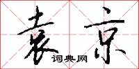 袁京怎么写好看
