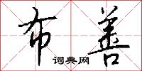布善怎么写好看