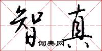 智真怎么写好看