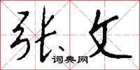 张文怎么写好看