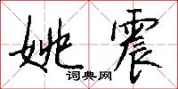 姚震怎么写好看