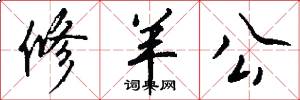 修羊公怎么写好看
