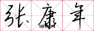 张康年怎么写好看