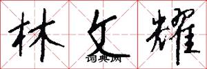 林文耀怎么写好看