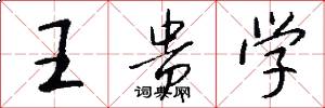 王贵学怎么写好看