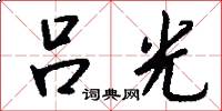 吕光怎么写好看
