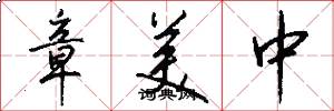 章美中怎么写好看