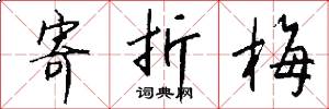 寄折梅怎么写好看