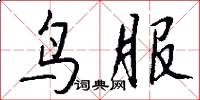 鸟服怎么写好看