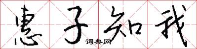 惠子知我怎么写好看