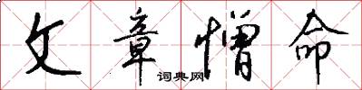 文章憎命怎么写好看