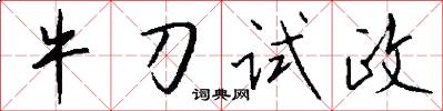 牛刀试政怎么写好看