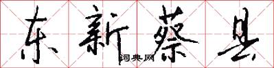 东新蔡县怎么写好看