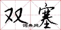 双塞怎么写好看