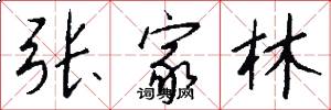 张家林怎么写好看
