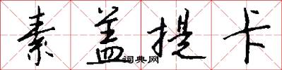 素盖提卡怎么写好看